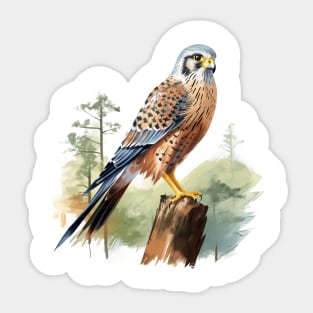 Kestrel Sticker